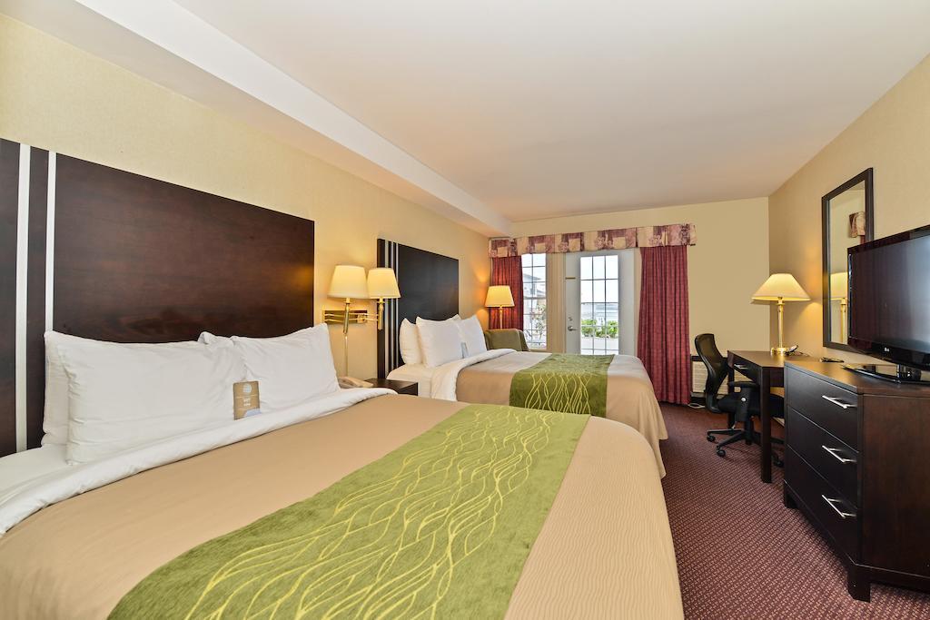 Comfort Inn Halifax Esterno foto